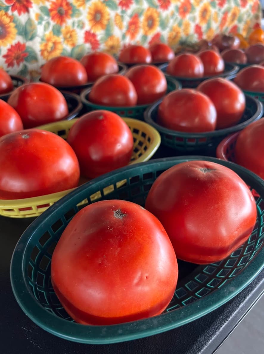 Market day
